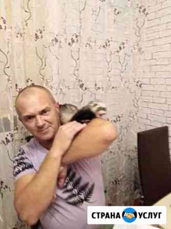 Помощь по хозяйству Бор