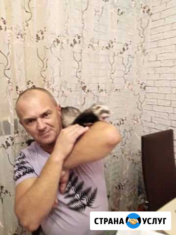 Помощь по хозяйству Бор - изображение 1