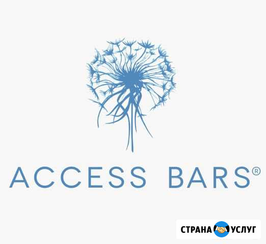 Обучение Access Bars Хабаровск - изображение 1