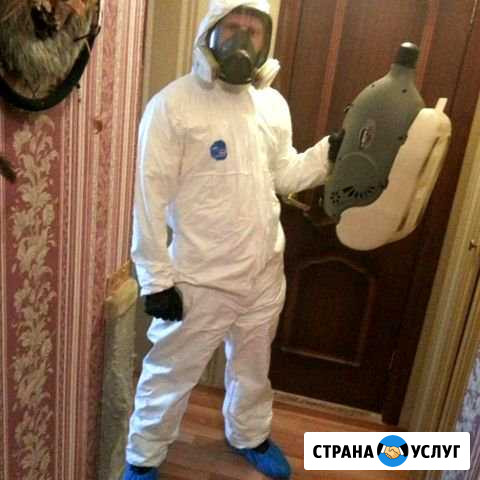 Уничтожение Клопов.Тараканов.Клещей Астрахань - изображение 1