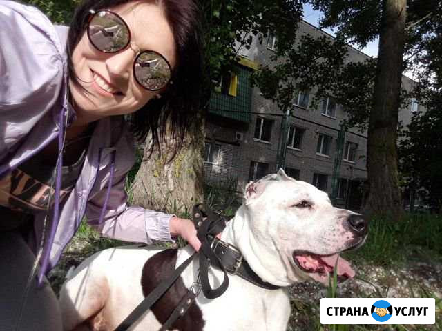 Вязка питбуль Курск - изображение 1