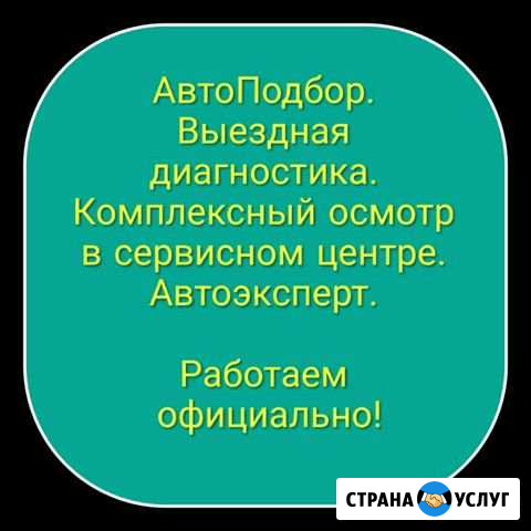 Автоподбор, выездная диагностика, замер лкп Набережные Челны - изображение 1