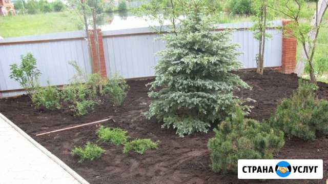 Благоустройство сада Оренбург - изображение 1