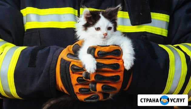 Служба спасения домашних животных Улан-Удэ - изображение 1