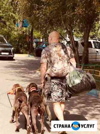 Дрессировка и послушание собак Москва