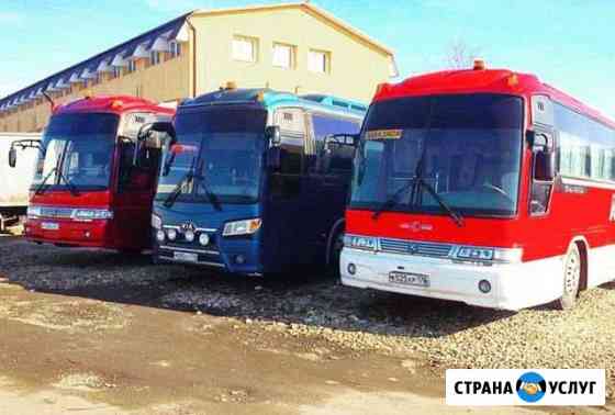 Автобусы для Перевозки Детей В Санкт-Петербурге Санкт-Петербург