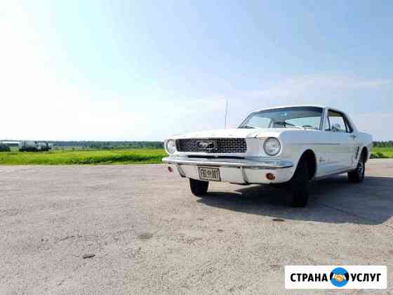 Аренда авто Ford Mustang 1966 Дубна