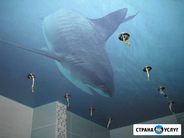 Натяжные потолки Каменск-Шахтинский - изображение 1