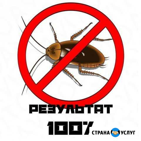 Уничтожение тараканов, клопов - холодным туманом Отрадный - изображение 1