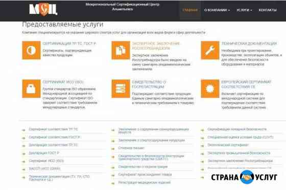 Оформление разрешительных документов Чистополь