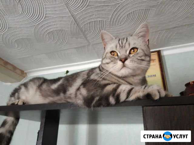 Вязка Оренбург - изображение 1