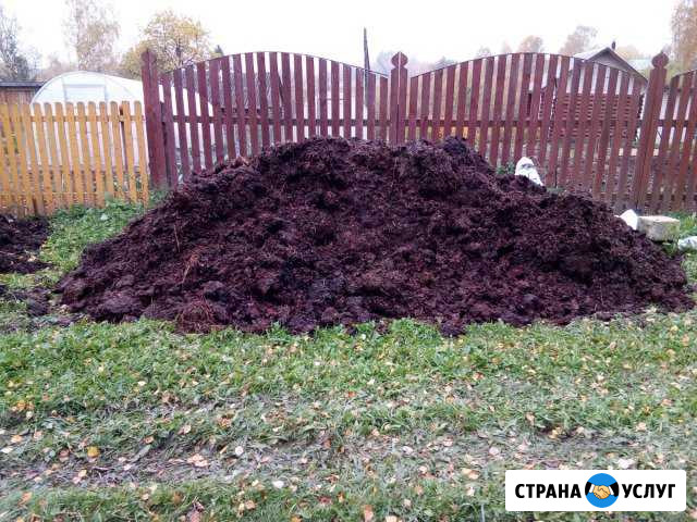 Навоз перегной земля плодородная Сусанино - изображение 1