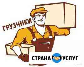 Грузчики Сочи