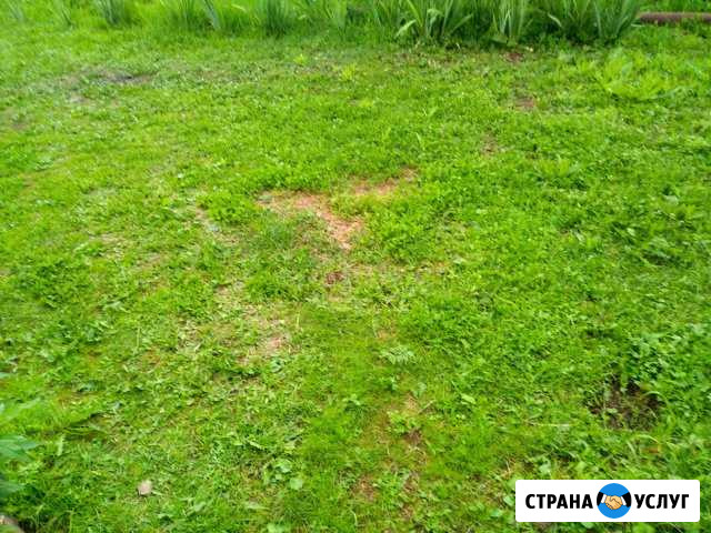 Покос травы тримером Ступино - изображение 1