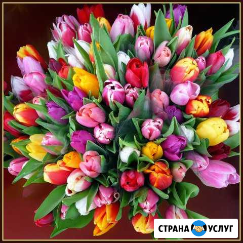Доставка букетов Бузулук - изображение 1