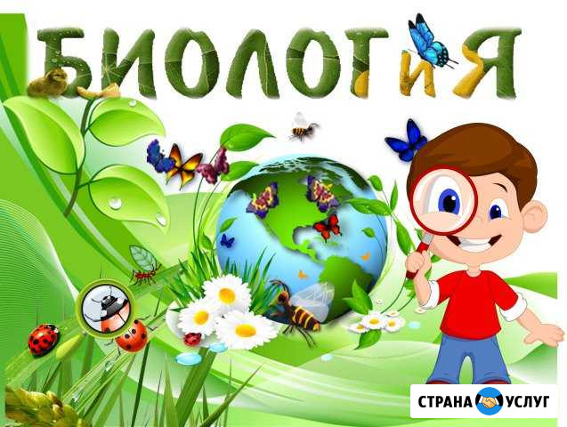 Репетитор по биологии Ишимбай - изображение 1