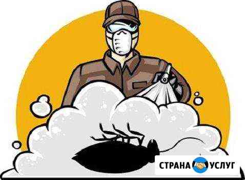 Уничтожение насекомых, грызунов, плесени Дзержинск