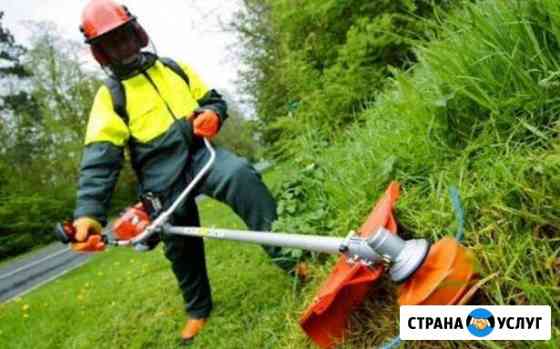 Покос травы кустарников, вспашка, газоны под ключ Ярославль