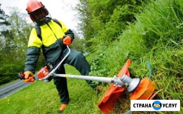 Покос травы кустарников, вспашка, газоны под ключ Ярославль - изображение 1