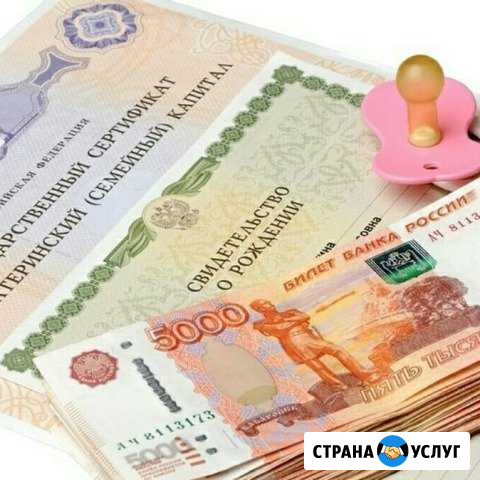 Материнский капитал Ботлих - изображение 1