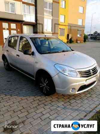 Аренда авто Renault Sandero, 2013 г, с выходным Калининград