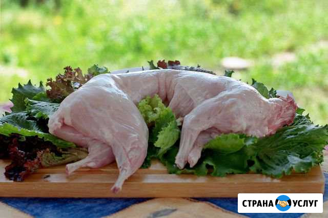 Мясо кролика Шуя - изображение 1