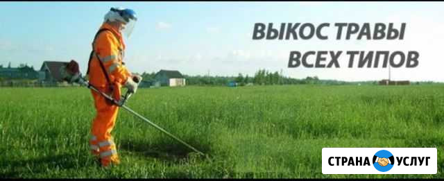 Расчистка участков,покос травы Сочи - изображение 1