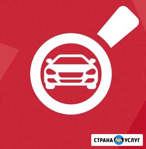 Диагностика автомобиля перед покупкой Курган - изображение 1