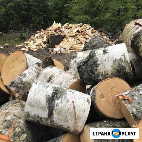 Дрова, доставка Всеволожск - изображение 1