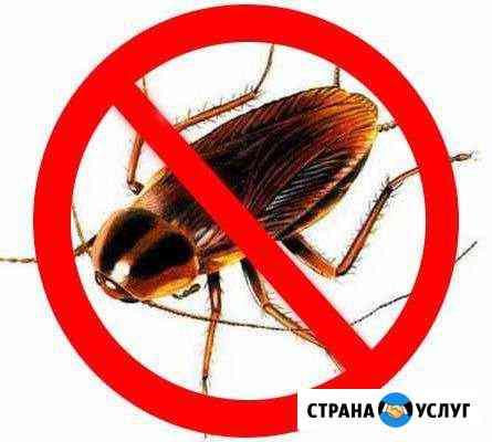 Уничтожение тараканов Самара