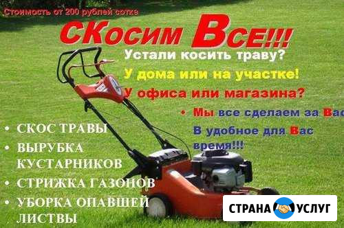 Спил деревьев.Покос травы Сальск - изображение 1