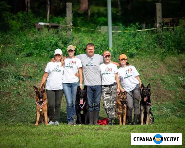 Школа дрессировки собак CityDog38 Ангарск - изображение 1
