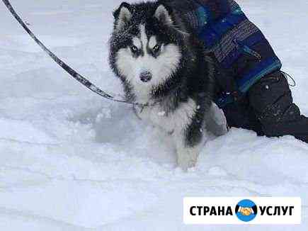 Вязка Саранск