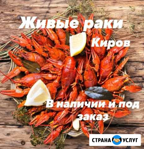 Раки живые и вареные Киров - изображение 1