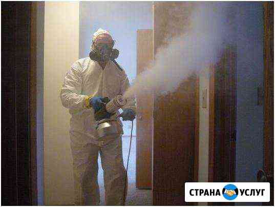 Дезинфекция. Уничтожение тараканов, клопов и др Самара