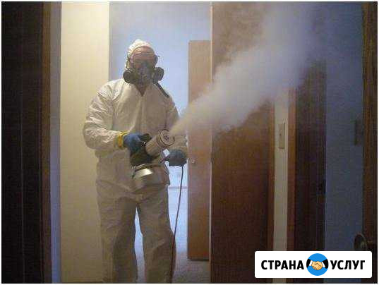 Дезинфекция. Уничтожение тараканов, клопов и др Самара - изображение 1