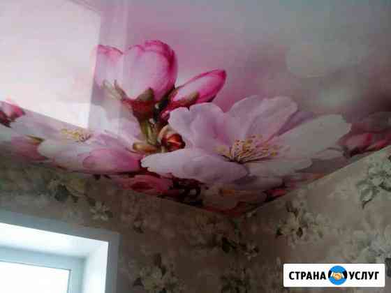 Натяжные потолки Димитровград