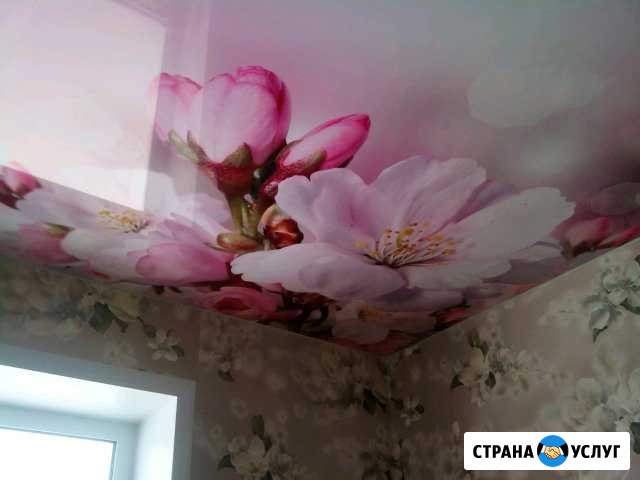 Натяжные потолки Димитровград - изображение 1