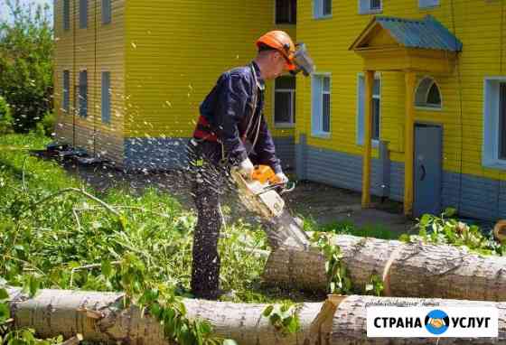 Обрезка и удаление деревьев Сарапул