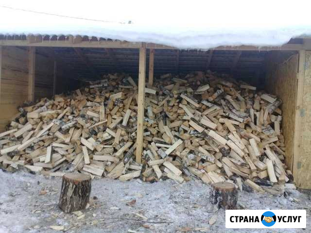 Береза колотая Киржач - изображение 1