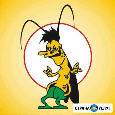 Санобработка ип Мищенко (Тольятти) Тольятти