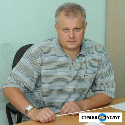 Продвижение сайта SEO в топ-1 Реутов - изображение 1