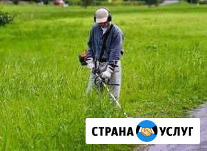Скос травы Троицк - изображение 1