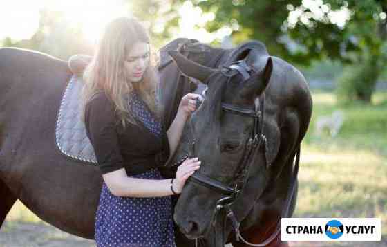 Фотосессия с лошадьми Черняховск