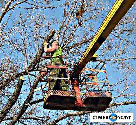 Услуги автовышки Заволжье