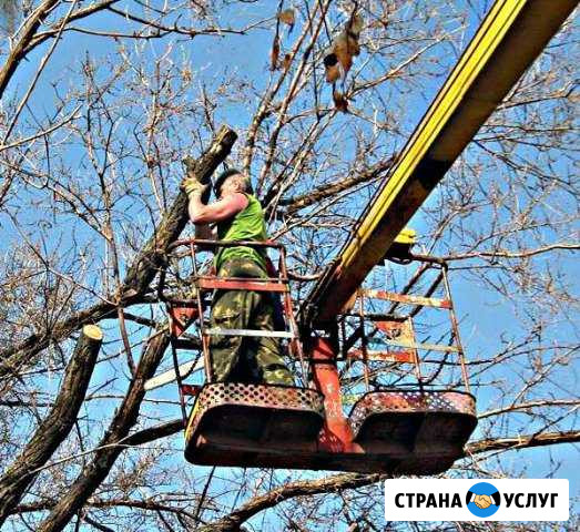Услуги автовышки Заволжье - изображение 1
