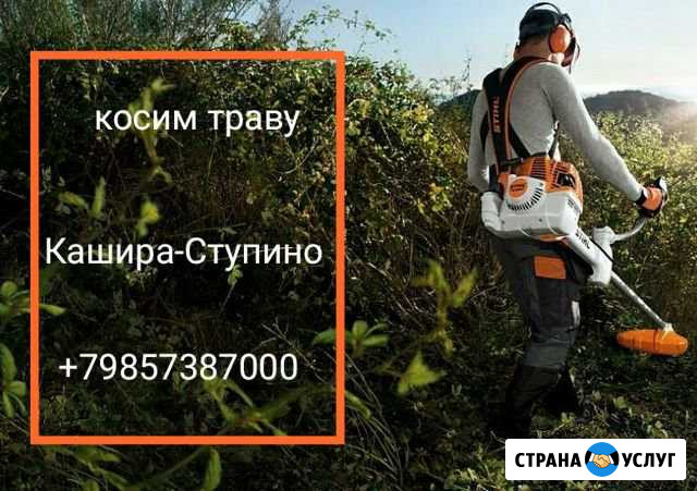Покос травы,опилка деревьев Кашира - изображение 1