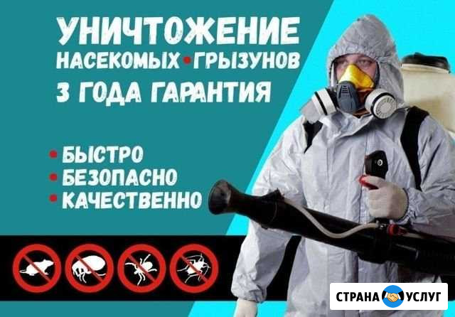 Уничтожение насекомых Братск - изображение 1