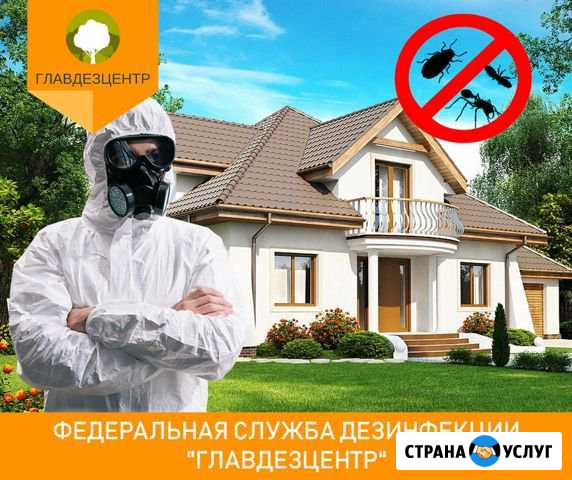 Обработка от комаров клопов тараканов Пышма Верхняя Пышма - изображение 1