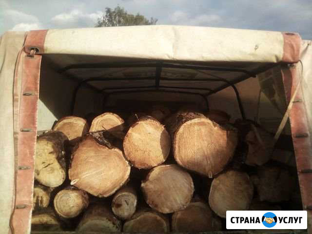 Дрова Кудымкар - изображение 1